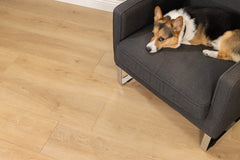 Cali Vinyl Pro - South Wind Oak Legends Extra Wide Click
