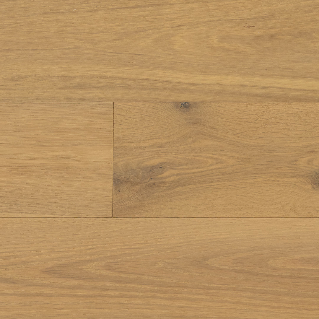 Canyon Ranch Collection - Oak Palomino