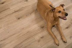 Cali Vinyl Pro - Aged Hickory Windansea Wide+ Click