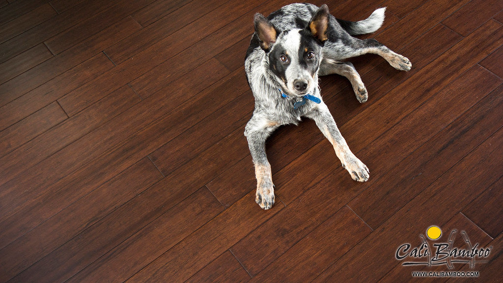 Antique Java Fossilized® Click Solid Bamboo Flooring