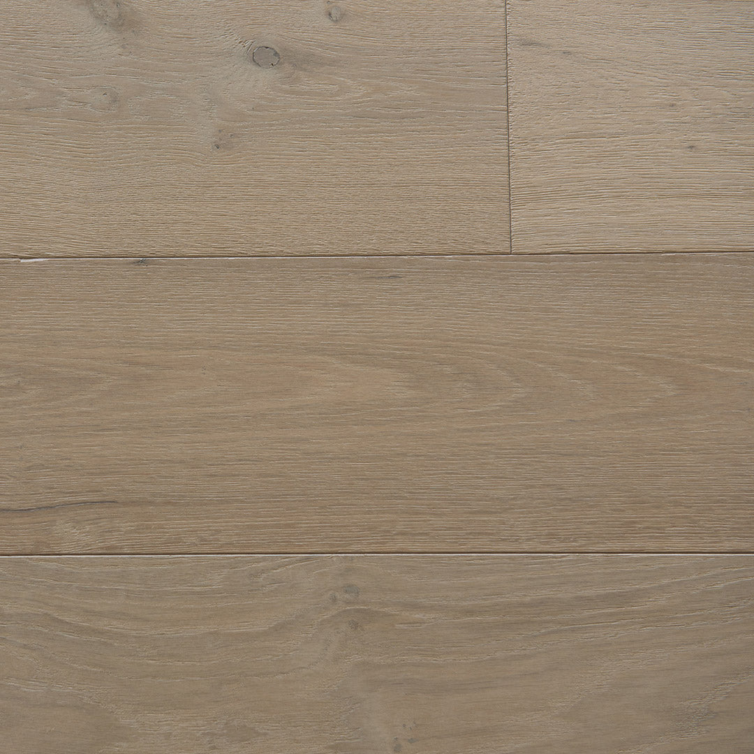 English Forest Collection - European Oak Frost