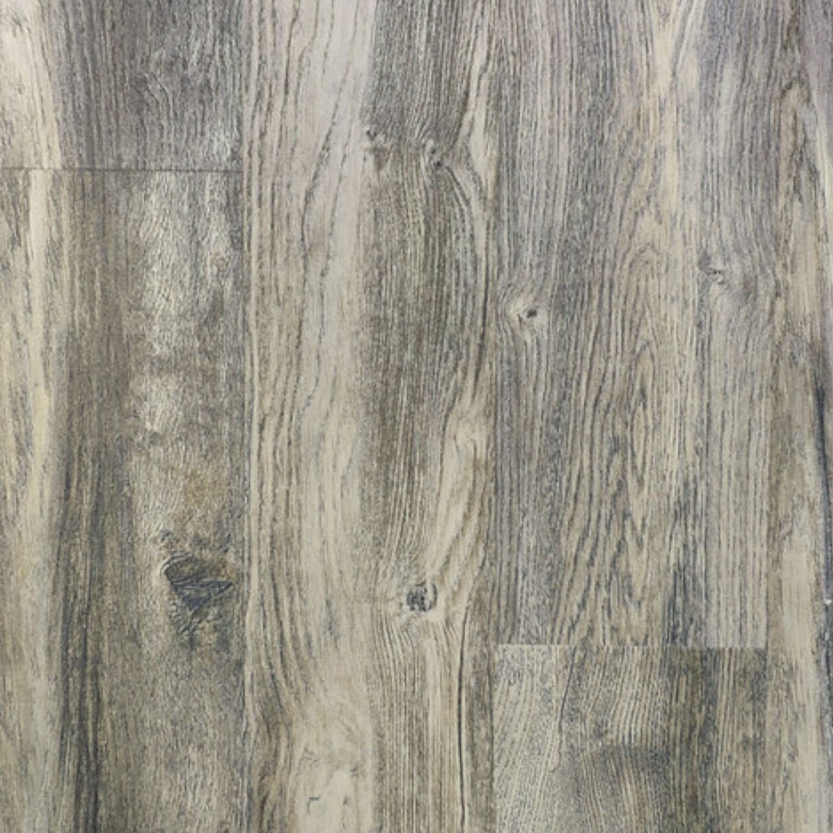 Chesapeake Plus Collection - Misty Shoals