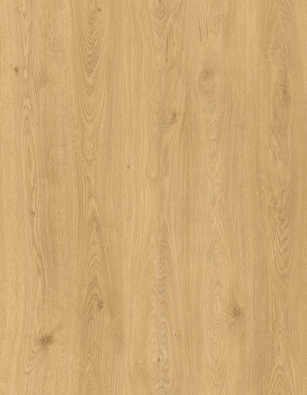 Lions Floor - Bambino Collection BB-X Timber Glaze